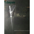 High Power IP65 Solar LED Street/Garden Light Adjustable Beam Angle